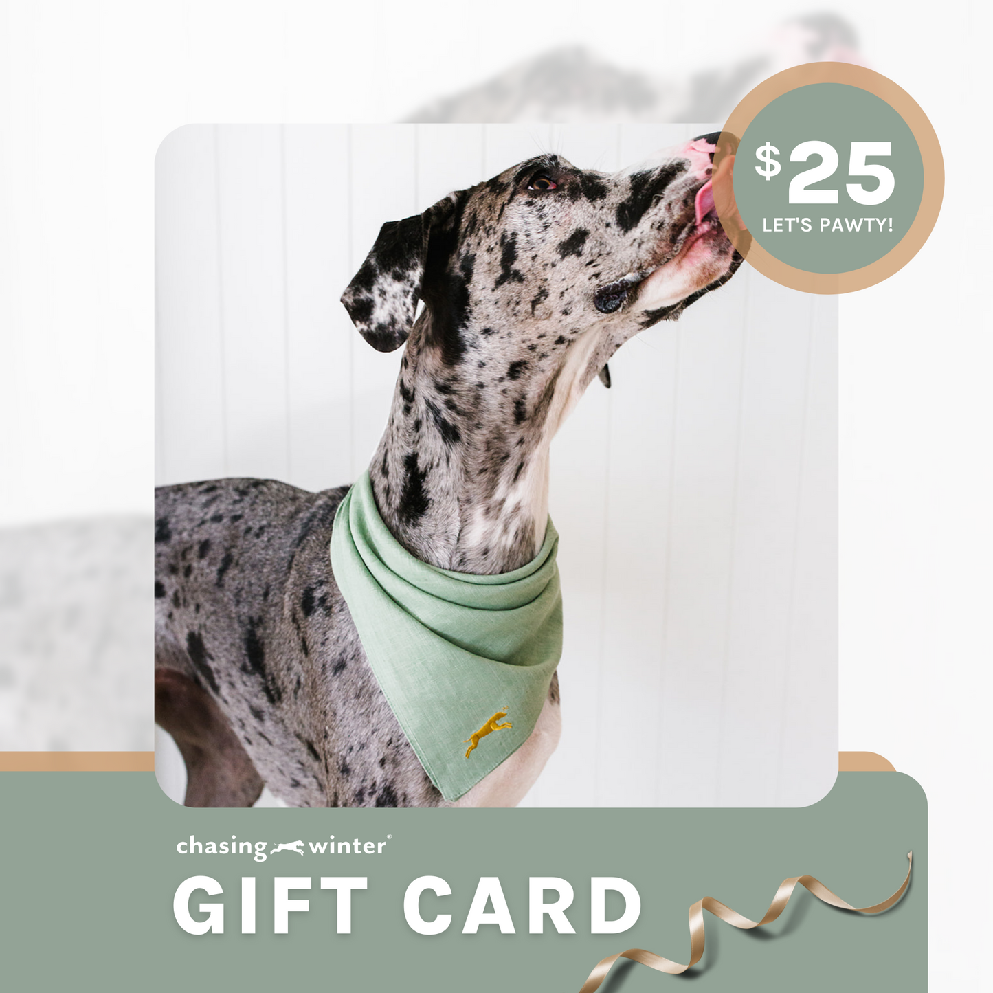 Chasing Winter Gift Card $25