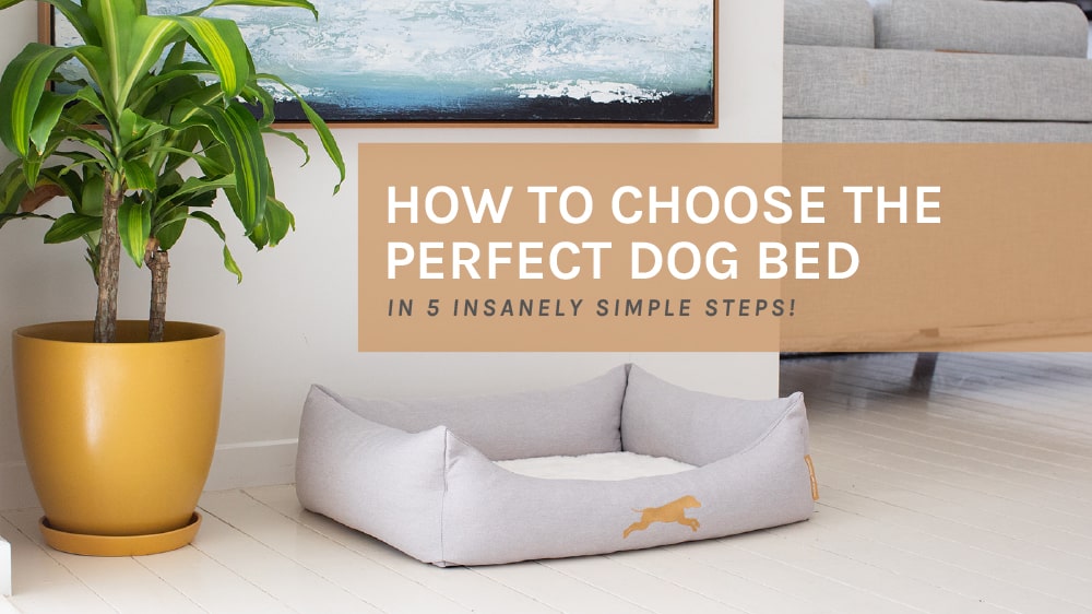 Large Dog Beds to Small Dog Beds: Choosing the Perfect Size Dog