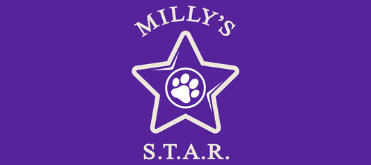Donate to Milly's Search Trap and Rescue - Chasing Winter