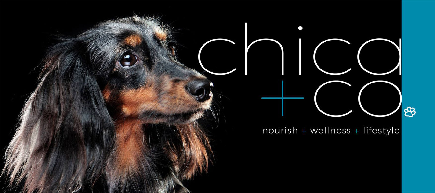 what is glucosamine for dogs by Chasing Winter and Chica and Co
