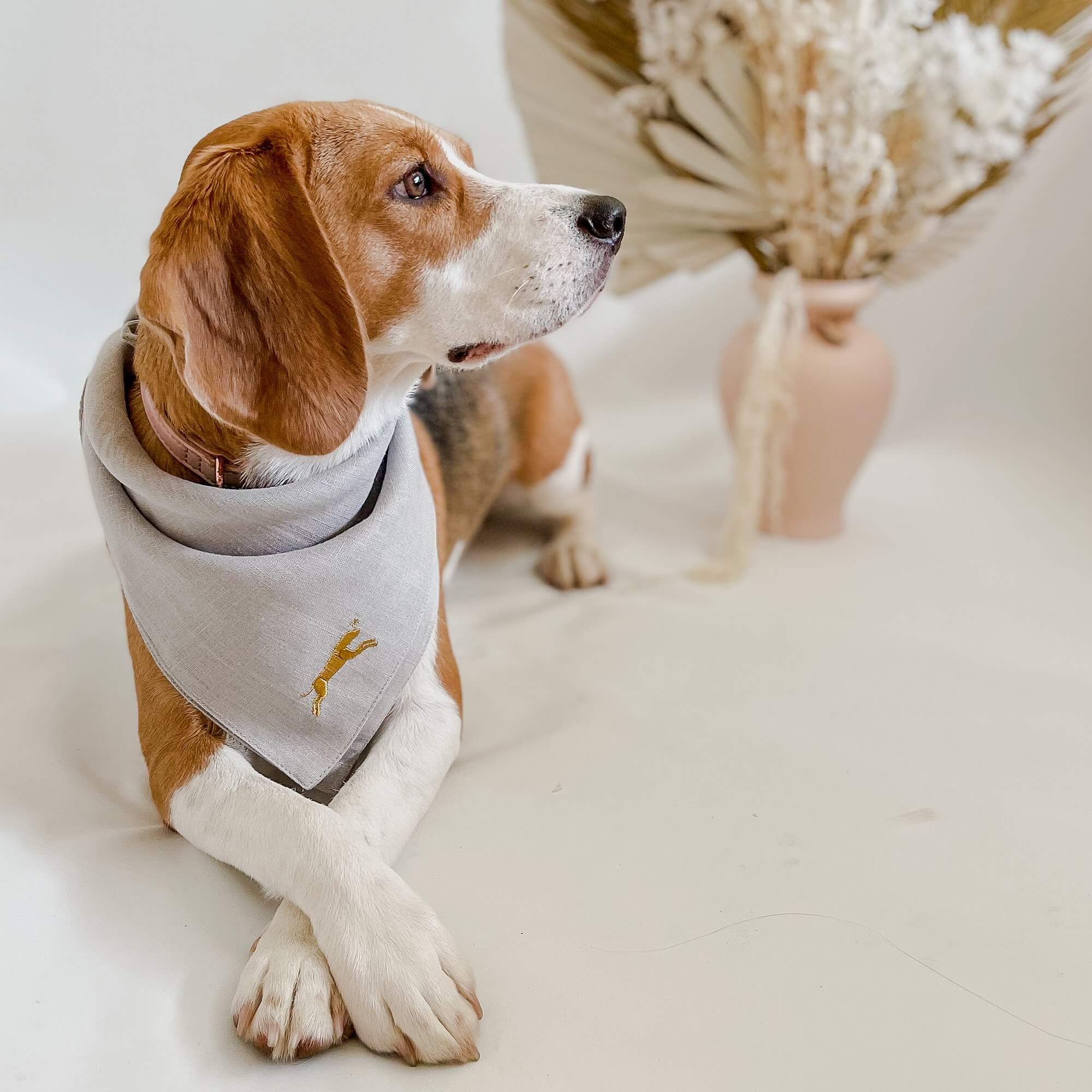 Pet Bandanas that are made out of cotton and spandex online – Chasing ...