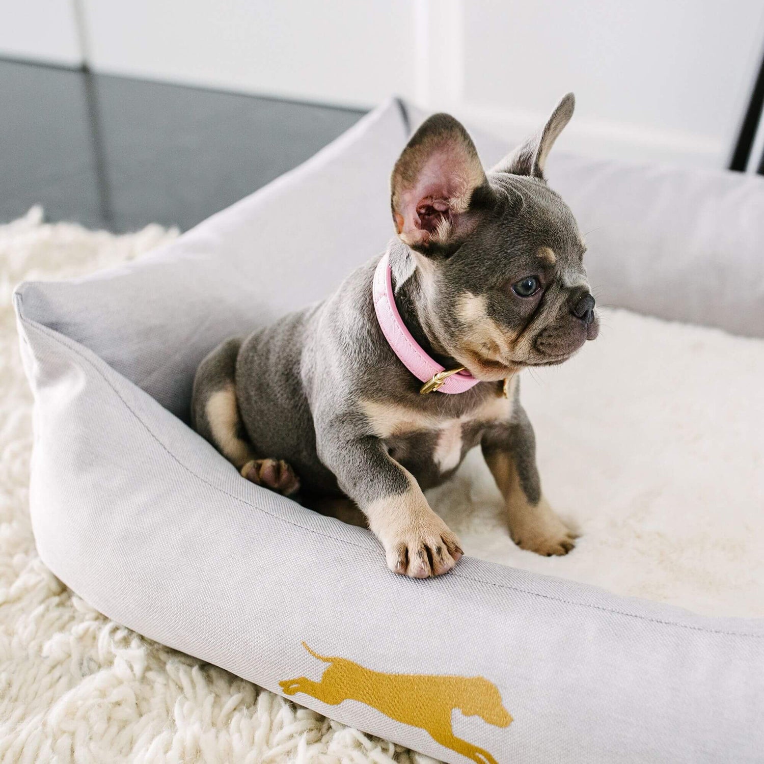 puppy beds online - chasing winter