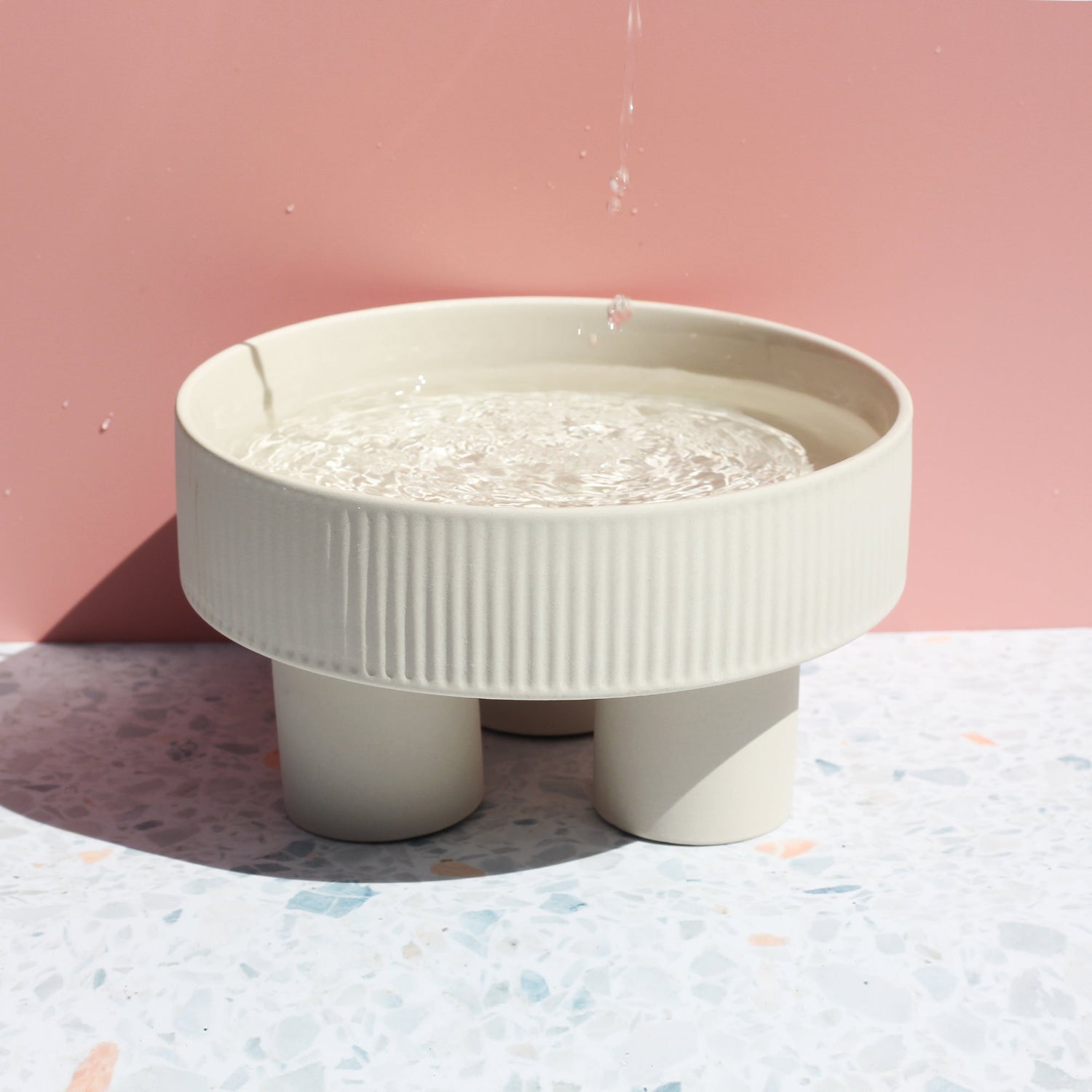 ceramic raised dog bowl with water