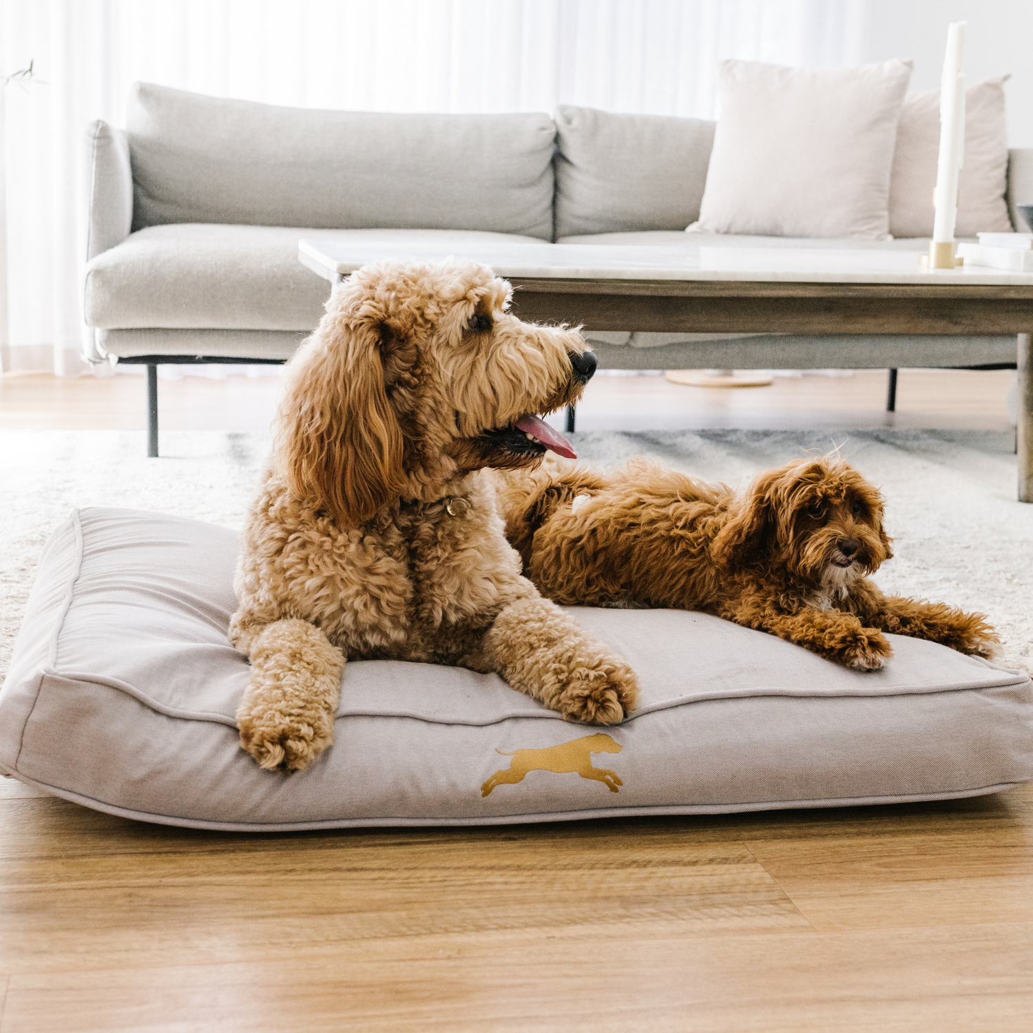 two tan labradoodles sitting together on a chasing winter dog bed