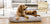 two-tan-labradoodles-resting-on-chasing-winter-cloud-dog-bed-in-lounge-room