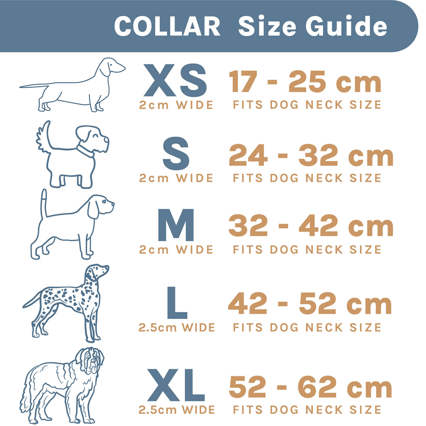 Blue Dog Collar Size Chart - Chasing Winter