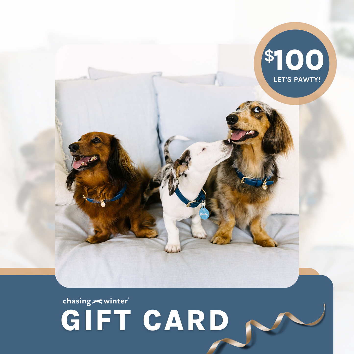 Chasing Winter Gift Card $100