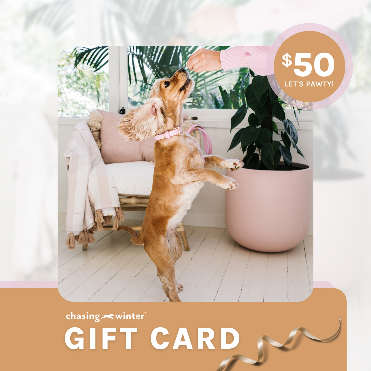 Chasing Winter Gift Card $50