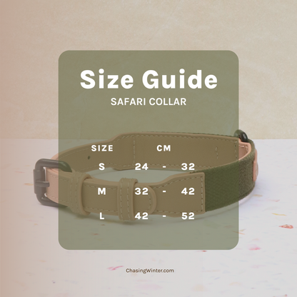 Safari Collar and Lead Bundle