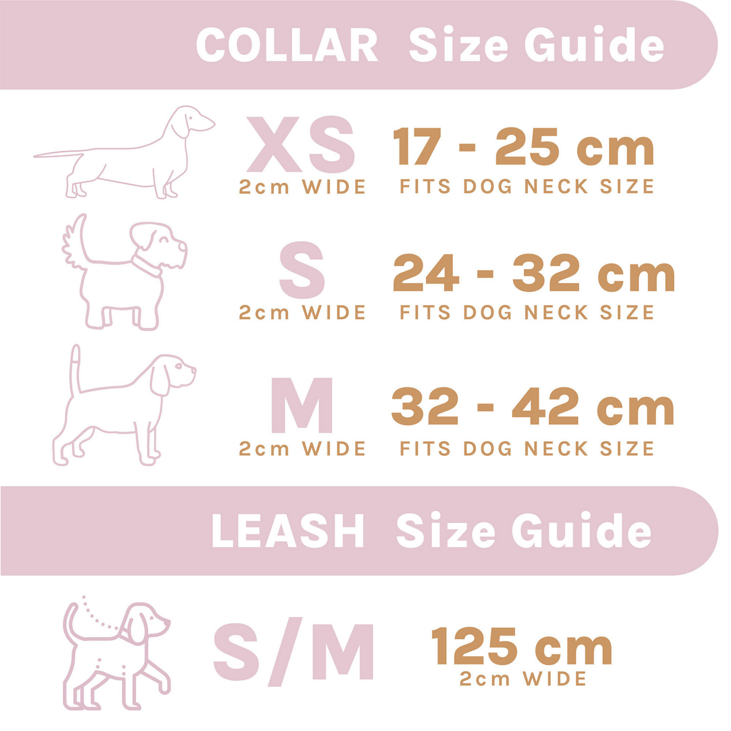 Pink Collar and Lead Bundle