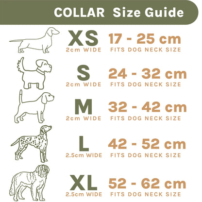 Green Collar and Lead Bundle