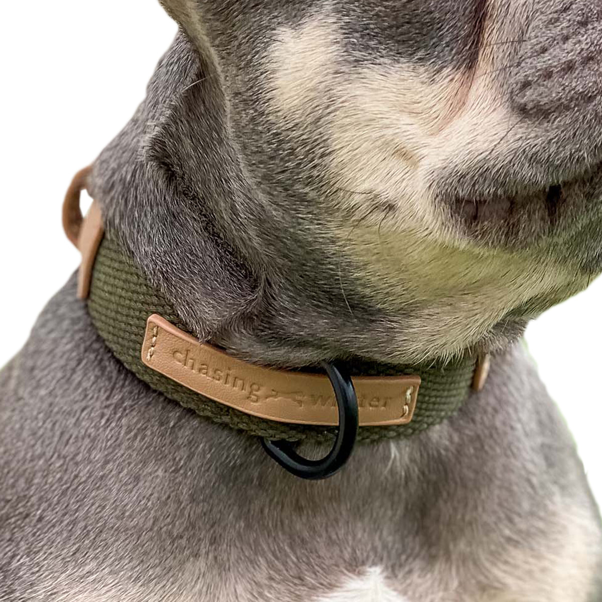 Two Tone Safari Leather Pet Collar