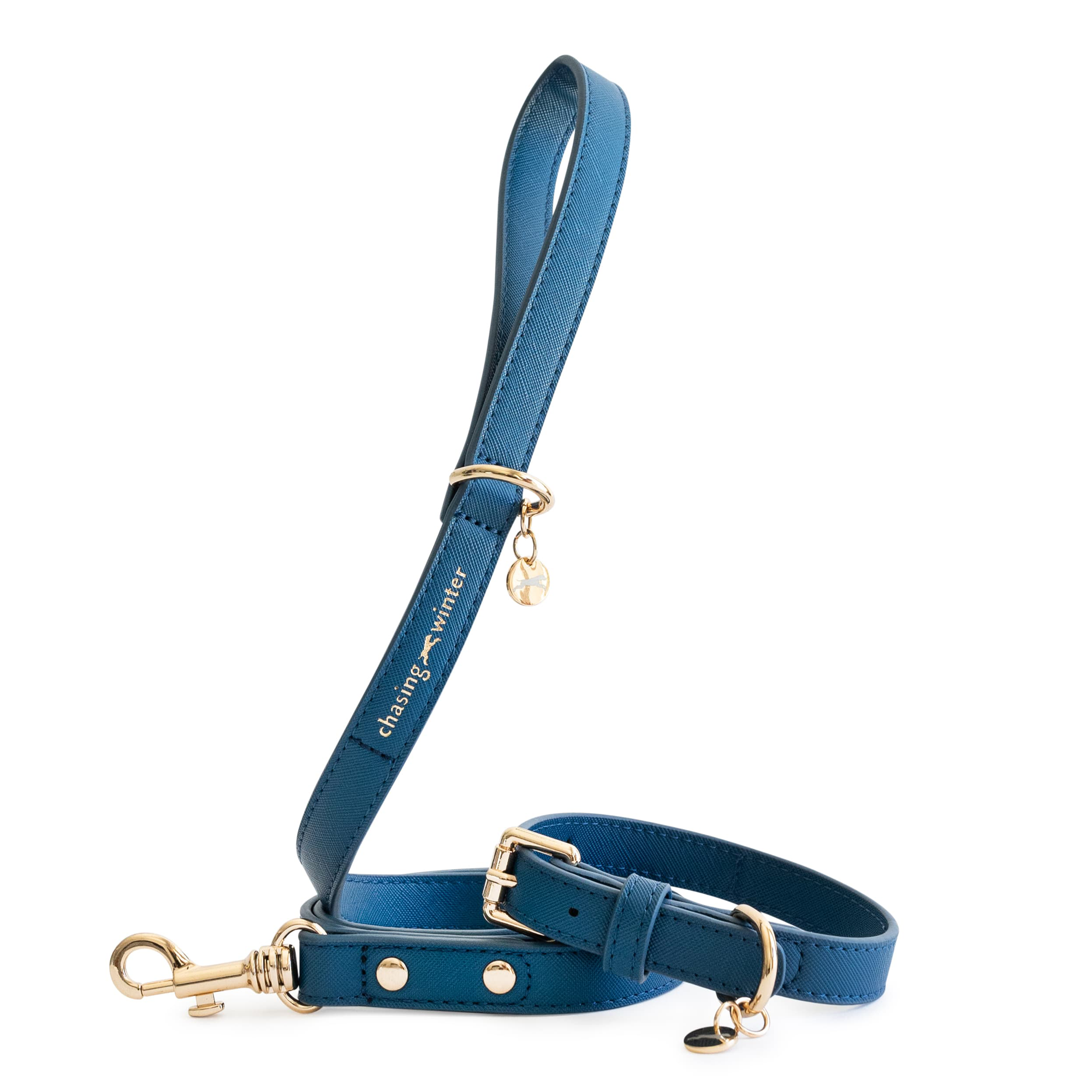 blue dog collar and lead bundle chasing winter