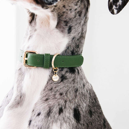 chasing winter green dog collar vegan leather