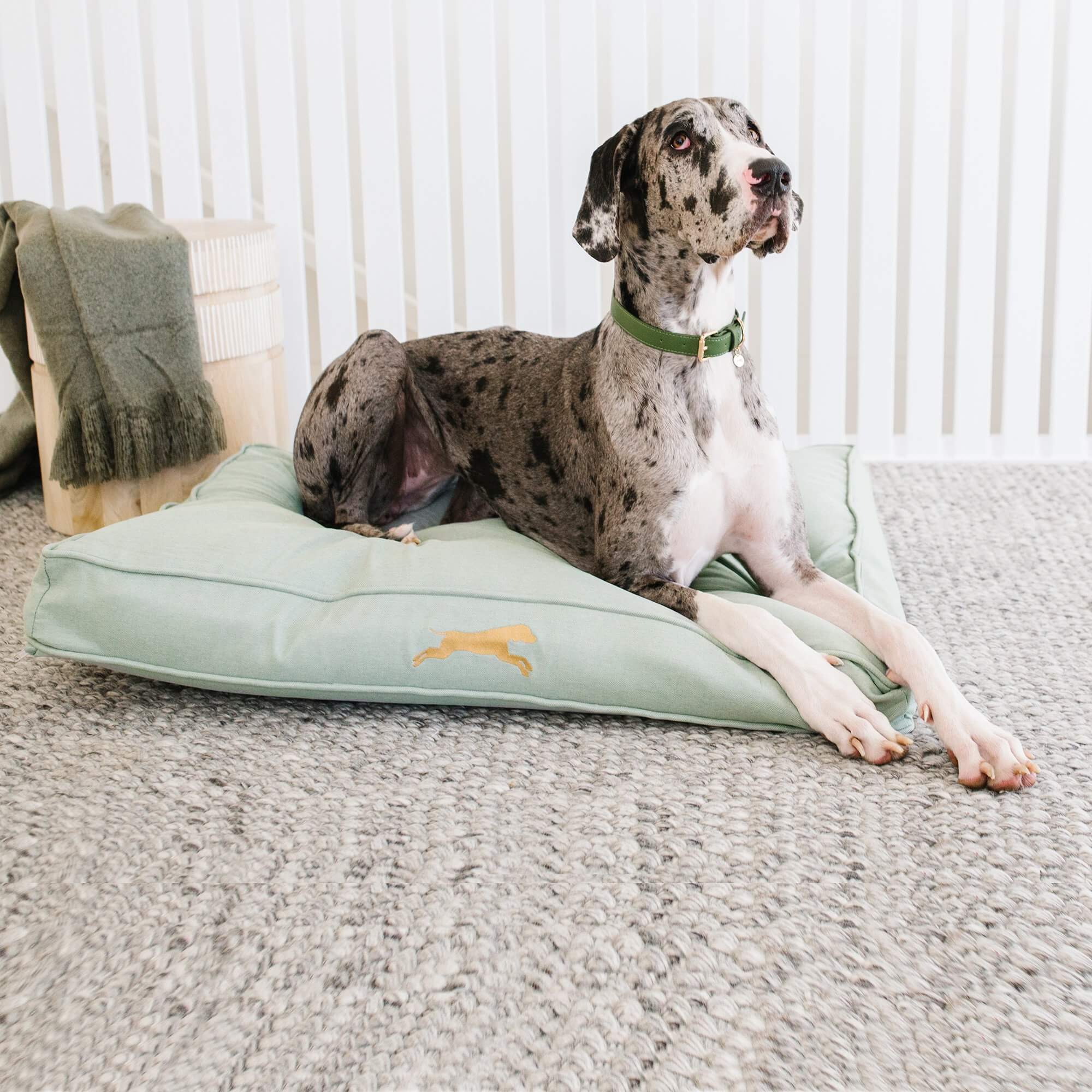 large flat pet bed for crates - chasing winter