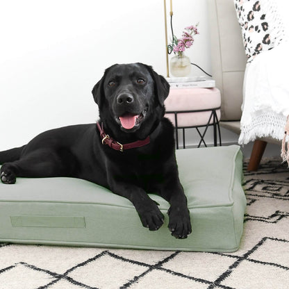 green pet bed for large dogs - chasing winter