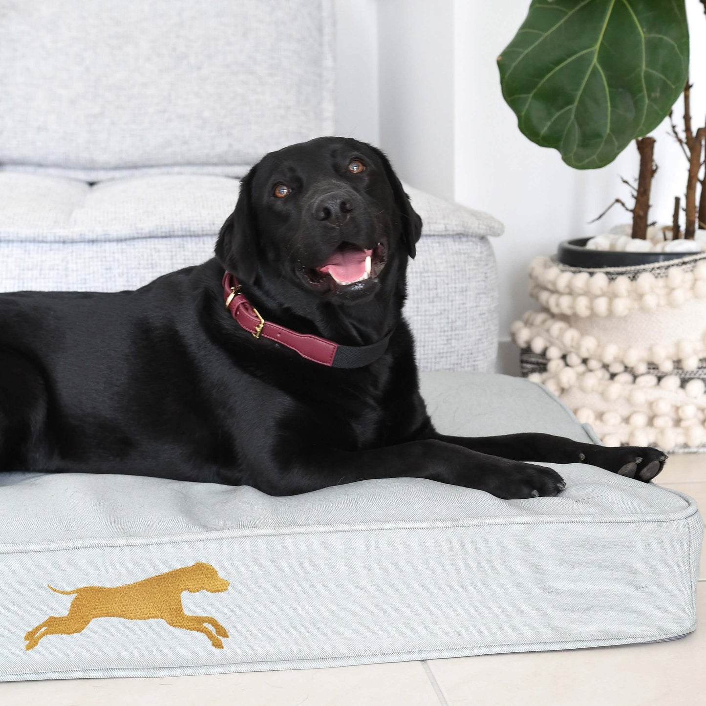 large grey pet bed by chasing winter