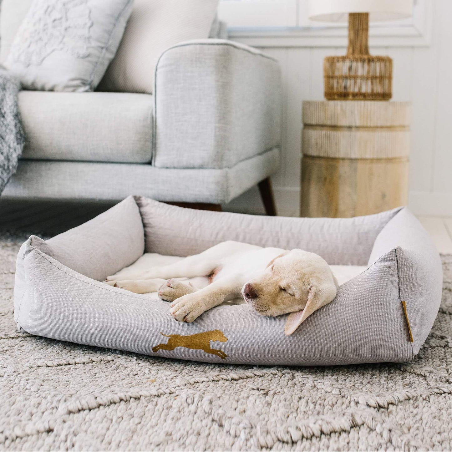 Memory Foam Pet Bed for Medium Dogs - Chasing Winter