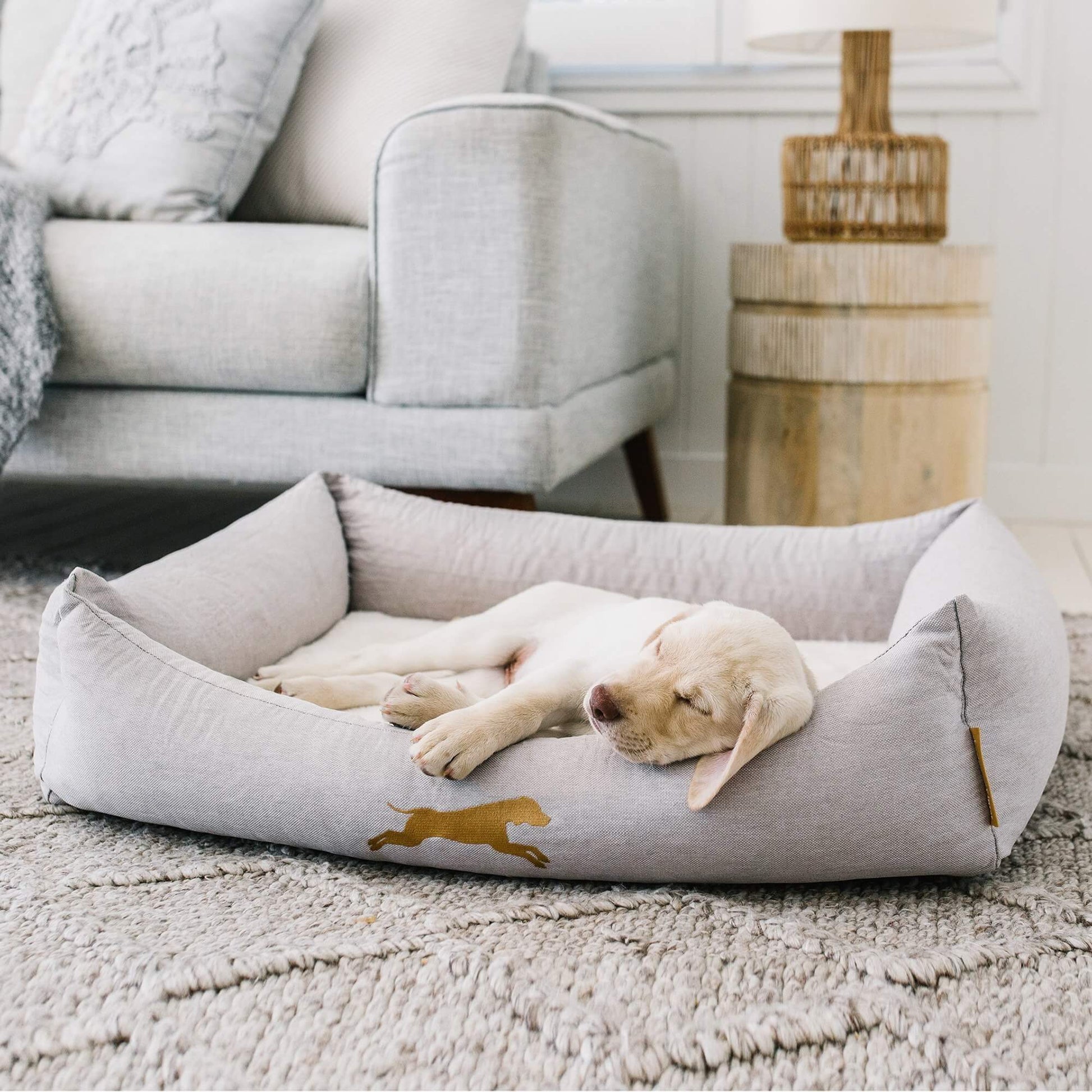 Memory Foam Pet Bed for Medium Dogs - Chasing Winter