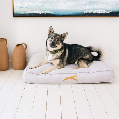 memory foam pet bed for puppies and dogs - chasing winter