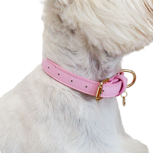 pink pet collar - chasing winter