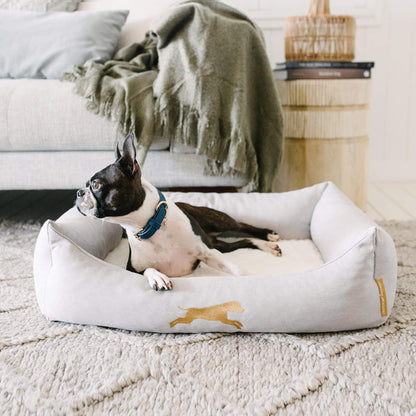 small memory foam dog bed with insert - chasing winter