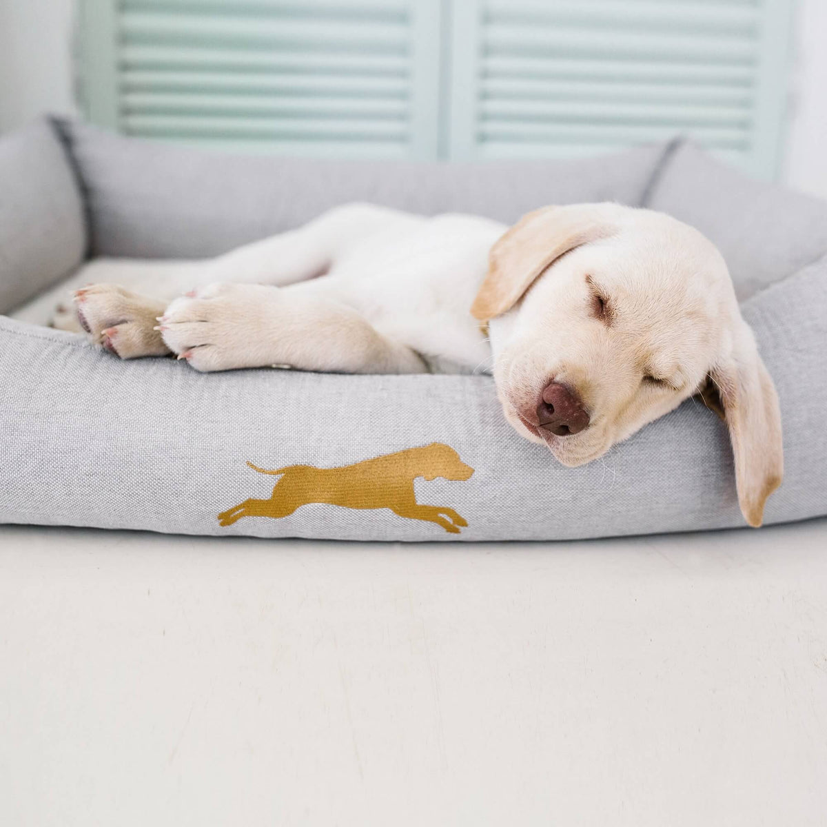 https://chasingwinter.com/cdn/shop/products/small-puppy-bed-with-memory-foam-chasing-winter_1200x.jpg?v=1636683591