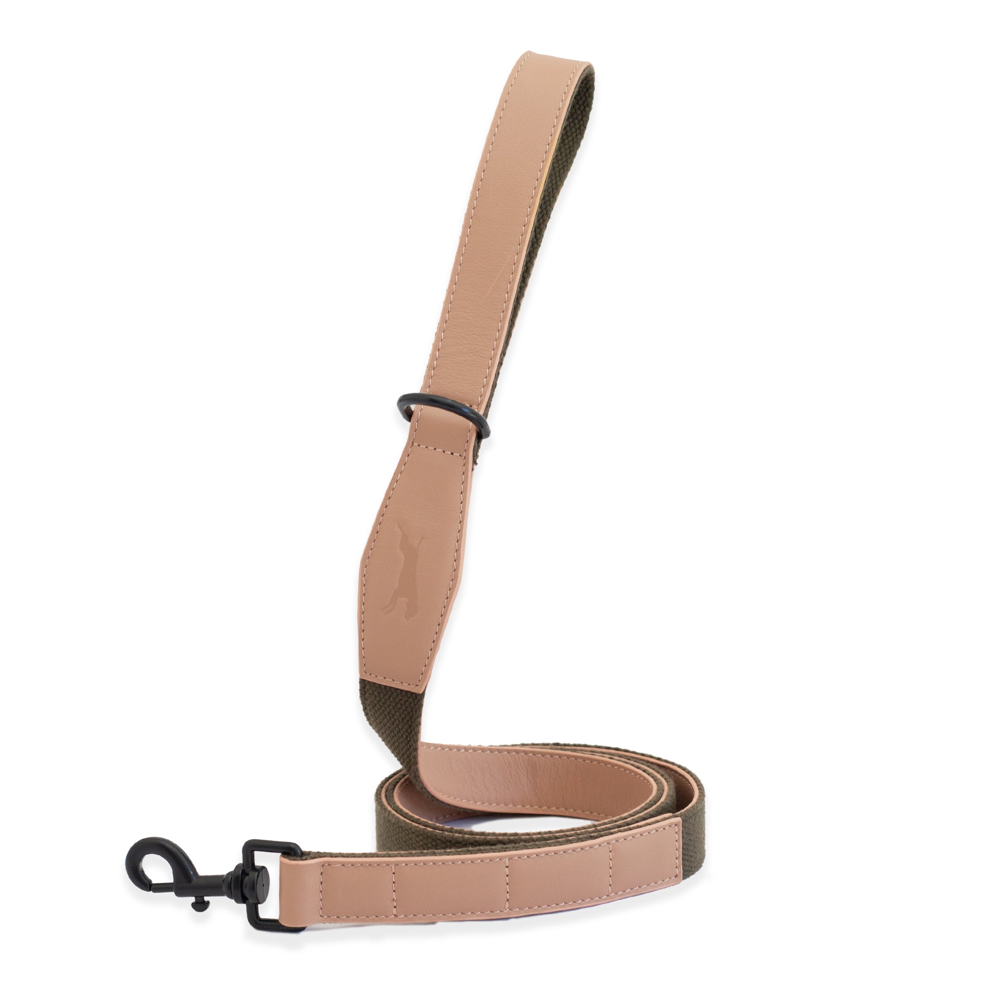 two tone pet lead - chasing winter